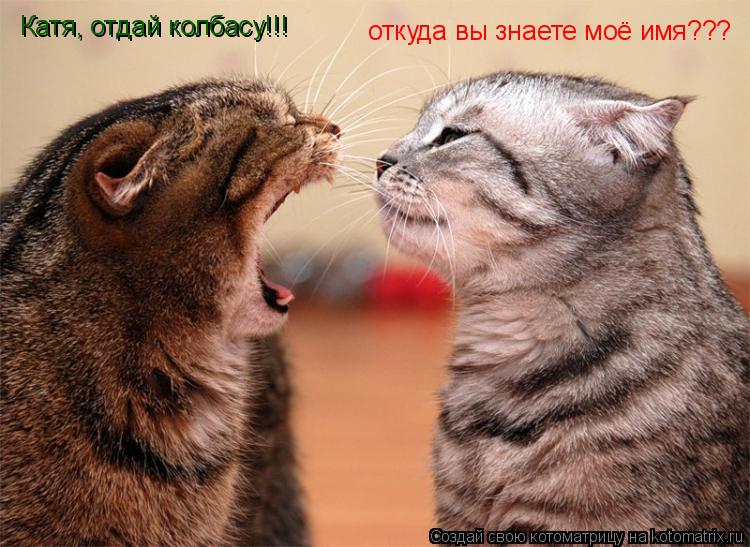 Котоматрица: Катя, отдай колбасу!!! откуда вы знаете моё имя???