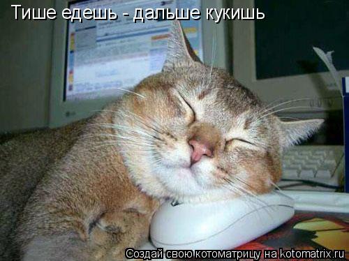 Котоматрица: Тише едешь - дальше кукишь