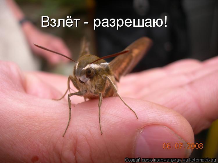 Котоматрица: Взлёт - разрешаю!