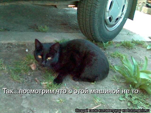 Так...посмотрим,что с этой машиной не то... Котоматрица: Так...посмотрим,что с этой машиной не то