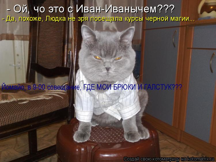 - Ой, чо это с Иван-Иванычем??? - Да, похоже, Людка не зря посещала курсы черной магии... Йомайо, в 9... Котоматрица: - Ой, чо это с Иван-Иванычем??? - Да, похоже, Людка не зря посещала курсы черной магии... Йомайо, в 9-00 совещание, ГДЕ МОИ БРЮКИ И ГАЛСТУК???