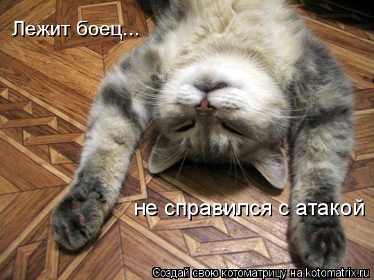 Котоматрица: Лежит боец... не справился с атакой
