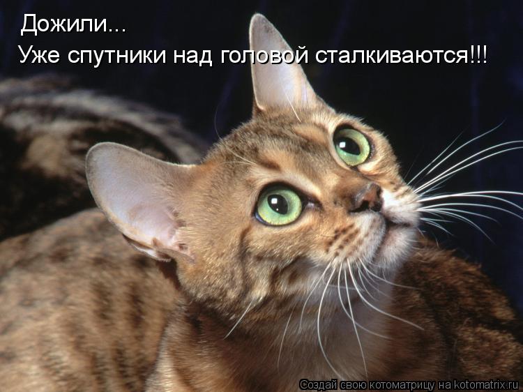 Котоматрица: Дожили... Уже спутники над головой сталкиваются!!!