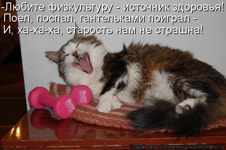 Котоматрица: -Любите физкультуру - источник здоровья! Поел, поспал, гантельками поиграл - И, ха-ха-ха, старость нам не страшна!