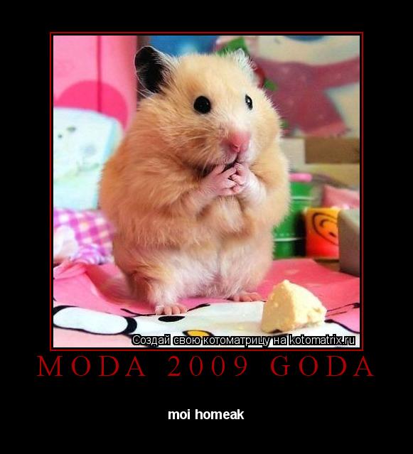Котоматрица: M O D A   2 0 0 9   G O D A 