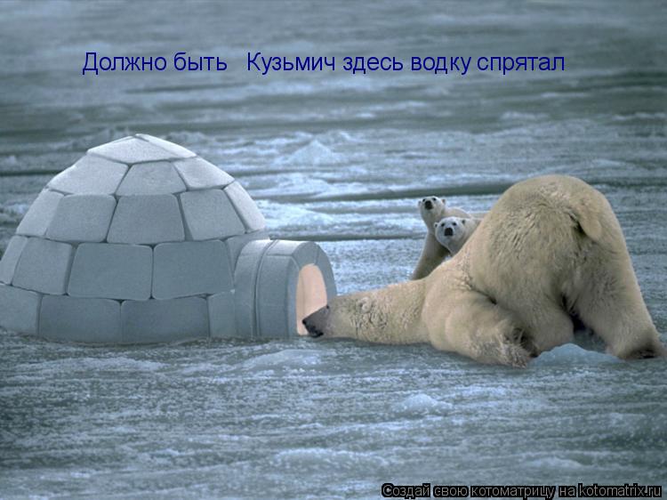 Котоматрица: Должно быть   Кузьмич здесь водку спрятал