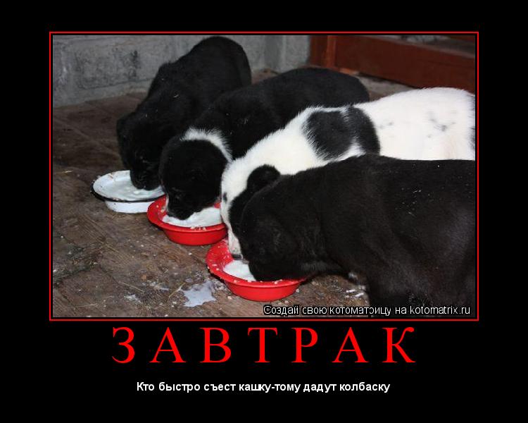 Котоматрица: З А В Т Р А К 