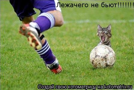 Котоматрица: Лежачего не бьют!!!!!!!