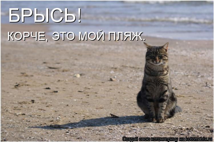 Котоматрица: БРЫСЬ! КОРЧЕ, ЭТО МОЙ ПЛЯЖ.