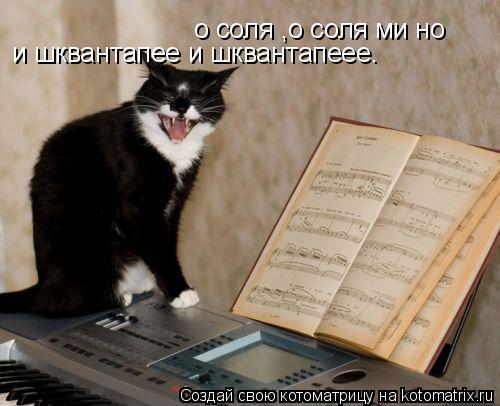 Котоматрица: о соля ,о соля ми но  и шквантапее и шквантапеее.