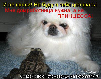 Котоматрица: И не проси! Не буду я тебя целовать! Мне домработница нужна, а не ПРИНЦЕССА!