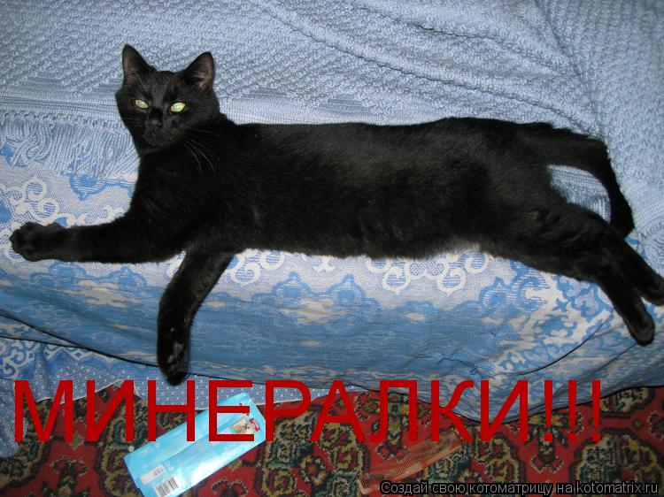 Котоматрица: МИНЕРАЛКИ!!!
