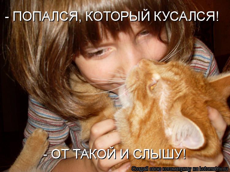 Котоматрица: - ПОПАЛСЯ, КОТОРЫЙ КУСАЛСЯ! - ОТ ТАКОЙ И СЛЫШУ!