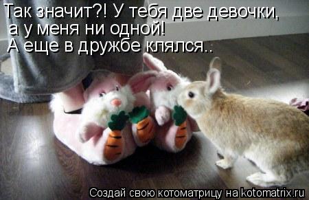 Котоматрица: Так значит?! У тебя две девочки, а у меня ни одной! А еще в дружбе клялся..