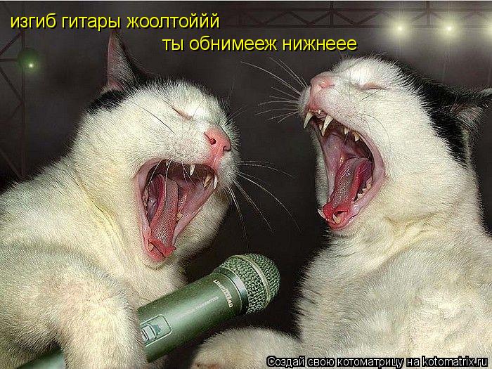 Котоматрица: изгиб гитары жоолтоййй ты обнимееж нижнеее