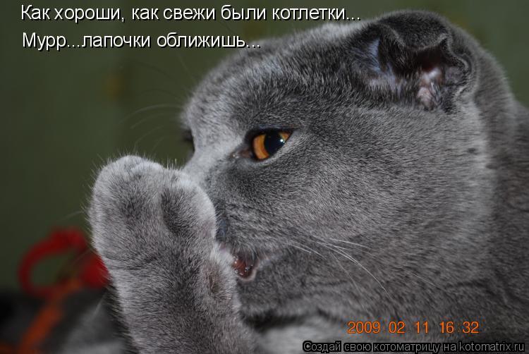 Котоматрица: Как хороши, как свежи были котлетки... Мурр...лапочки оближишь...