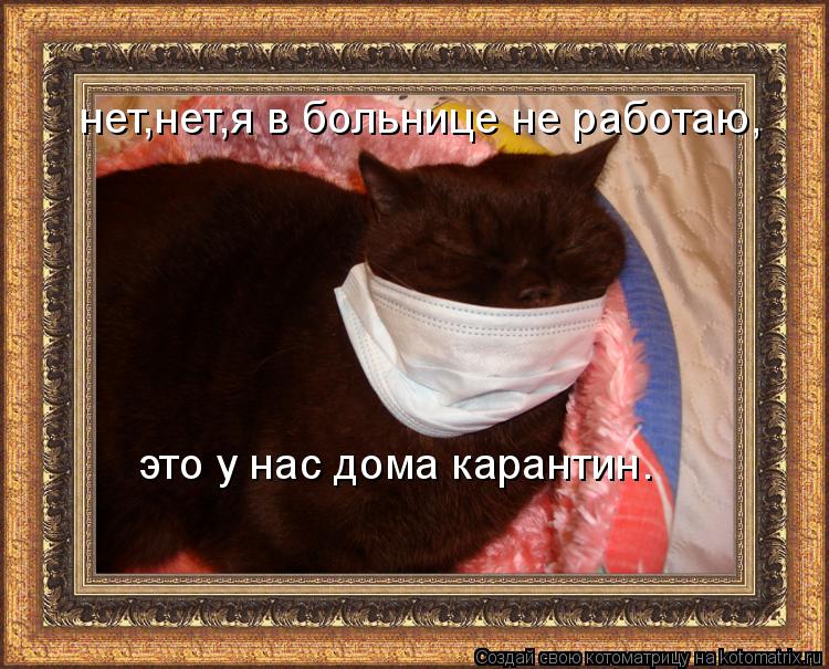 Котоматрица: нет,нет,я в больнице не работаю, это у нас дома карантин.