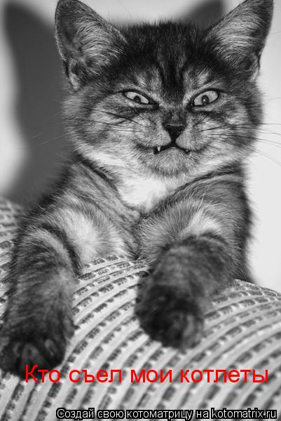 Кто съел мои котлеты... Котоматрица: Кто съел мои котлеты