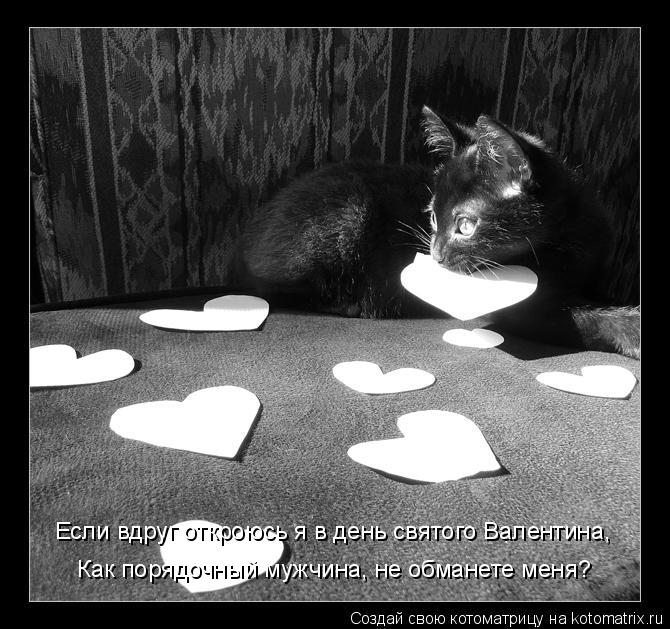 Котоматрица: Если вдруг откроюсь я в день святого Валентина,  Как порядочный мужчина, не обманете меня?