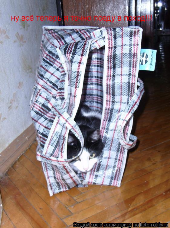 Котоматрица: ну всё теперь я точно поеду в поход!!!