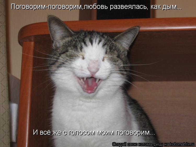 Котоматрица: Поговорим-поговорим,любовь развеялась, как дым... Поговорим-поговорим,любовь развеялась, как дым... И всё же с голосом моим поговорим...