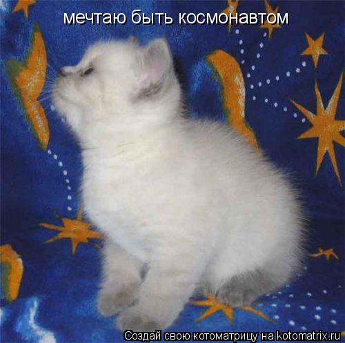 Котоматрица: мечтаю быть космонавтом