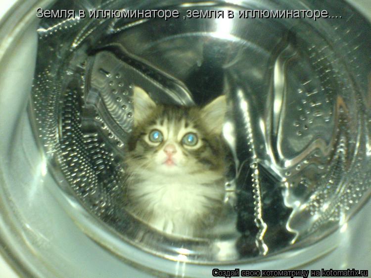 Земля в иллюминаторе ,земля в иллюминаторе....... Котоматрица: Земля в иллюминаторе ,земля в иллюминаторе....