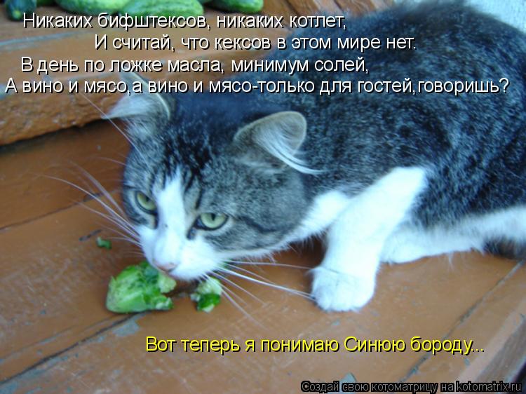 Никаких бифштексов, никаких котлет, И считай, что кексов в этом мире нет. В день по ложке масла, ми... Котоматрица: Никаких бифштексов, никаких котлет, И считай, что кексов в этом мире нет. В день по ложке масла, минимум солей, А вино и мясо,а вино и мясо-то