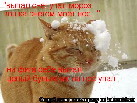 Котоматрица: "выпал снег,упал мороз кошка снегом моет нос..." ни фига себе выпал, целый булыжник на нос упал