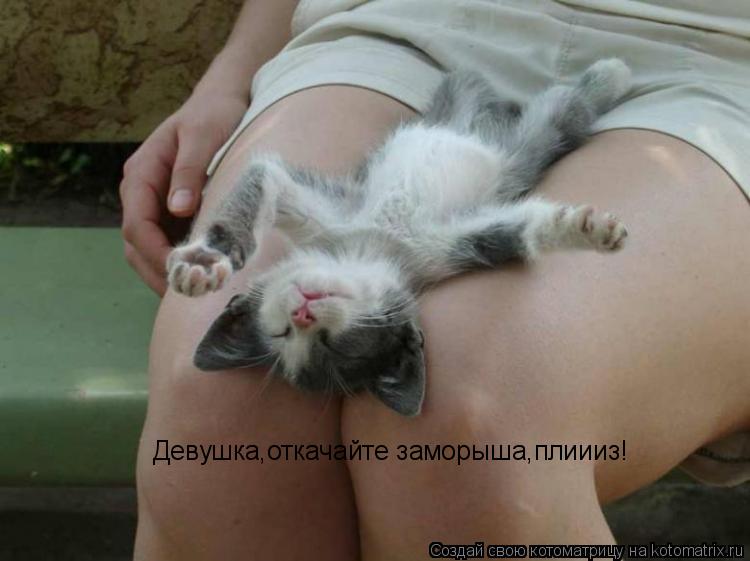 Котоматрица: Девушка,откачайте заморыша,плиииз!
