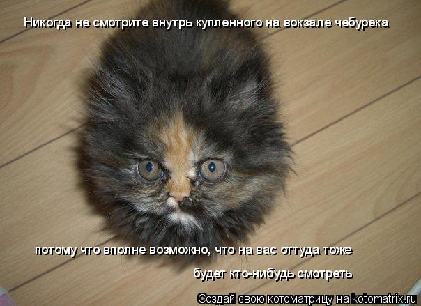 Котоматрица: потому что вполне возможно, что на вас оттуда тоже Никогда не смотрите внутрь купленного на вокзале чебурека будет кто-нибудь смотреть