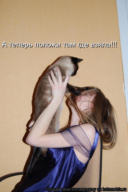 Котоматрица: А теперь положи там где взяла!!!