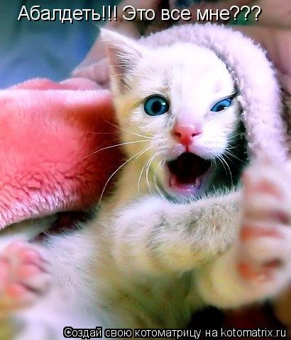 Котоматрица: Абалдеть!!! Это все мне???