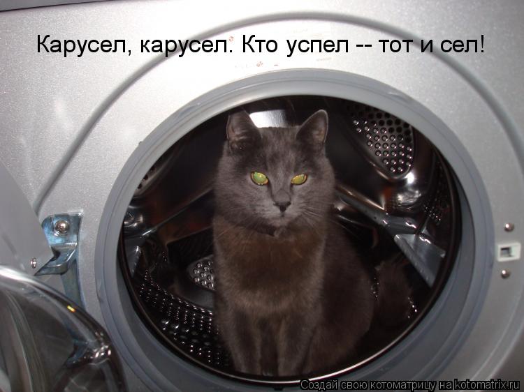 Котоматрица: Карусел, карусел. Кто успел -- тот и сел!