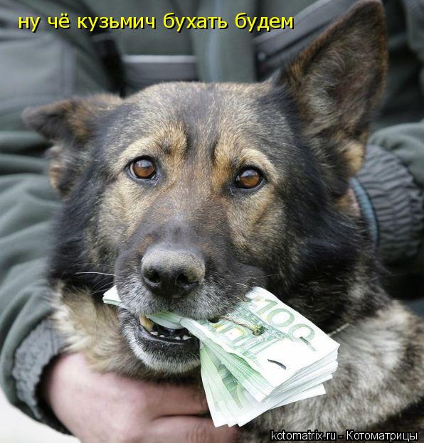 Котоматрица: ну чё кузьмич бухать будем