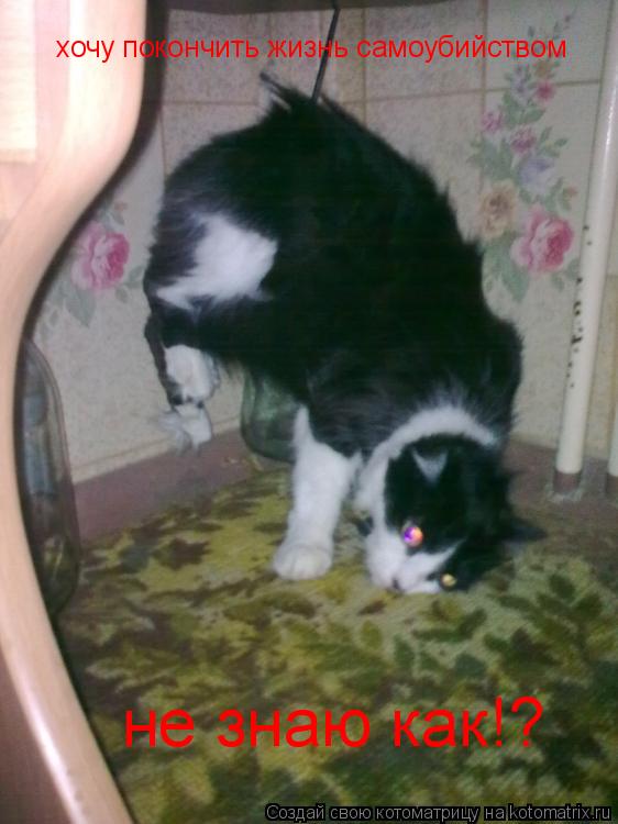 хочу покончить жизнь самоубийством не знаю как!?... Котоматрица: хочу покончить жизнь самоубийством не знаю как!?