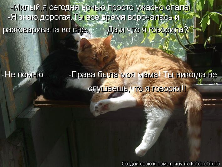Котоматрица: -Милый,я сегодня ночью просто ужасно спала!  -Я знаю,дорогая.Ты все время ворочалась и  разговаривала во сне.       -Да,и что я говорила? -Не помню