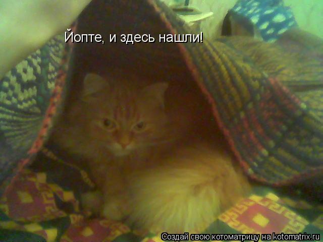 Йопте, и здесь нашли!... Котоматрица: Йопте, и здесь нашли!