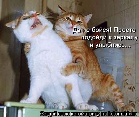 Котоматрица: Да не бойся! Просто подойди к зеркалу и улыбнись...