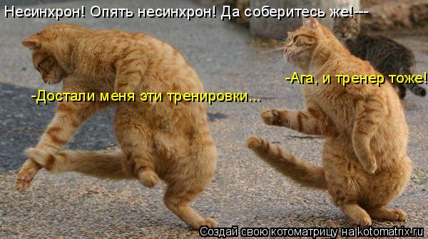 Котоматрица: Несинхрон! Опять несинхрон! Да соберитесь же!--- -Достали меня эти тренировки... -Ага, и тренер тоже!