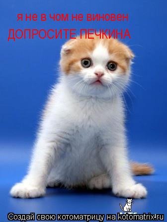 Котоматрица: я не в чом не виновен ДОПРОСИТЕ ПЕЧКИНА
