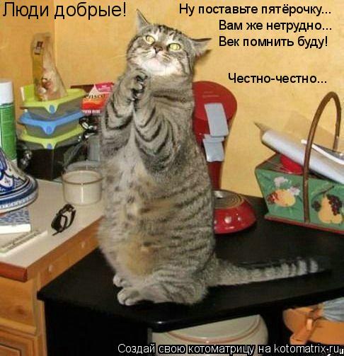 Котоматрица: Люди добрые! Ну поставьте пятёрочку... Вам же нетрудно... Век помнить буду! Честно-честно...