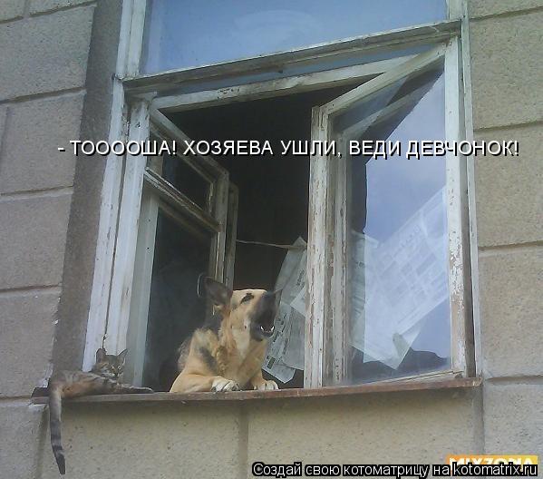 http://kotomatrix.ru/images/lolz/2009/02/15/89.jpg