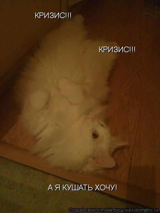 Котоматрица: КРИЗИС!!! КРИЗИС!!! А Я КУШАТЬ ХОЧУ!