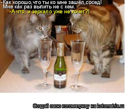 Котоматрица: -Как хорошо,что ты ко мне зашёл,сосед! Мне как раз выпить не с кем. -А что, и зеркало уже не хочет?!