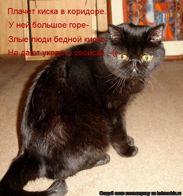 Плачет киска в коридоре. У ней большое горе- Злые люди бедной киске Не дают украсть сосиски ;-((... Котоматрица: Плачет киска в коридоре. У ней большое горе- Злые люди бедной киске Не дают украсть сосиски ;-((