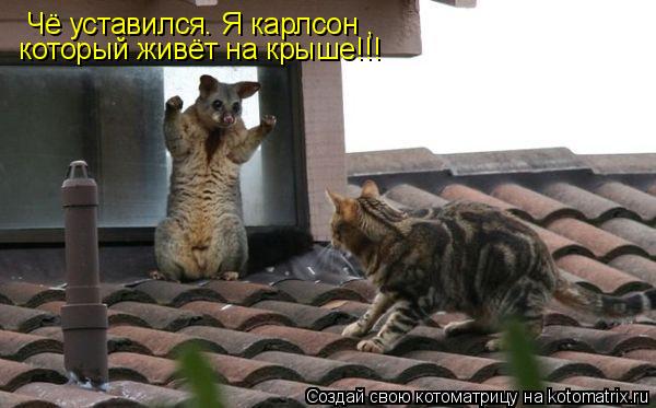 Котоматрица: Чё уставился. Я карлсон ,  который живёт на крыше!!!