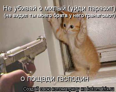 Котоматрица: Не убивай о милый (уйди паразит) (не видил ты моего брата у него гранатомот) о пощади гасподин