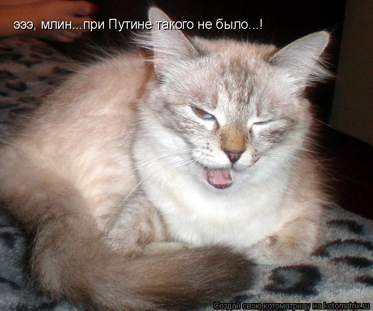 эээ, млин...при Путине такого не было...!... Котоматрица: эээ, млин...при Путине такого не было...!