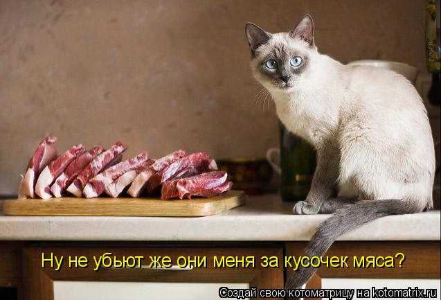 Котоматрица: Ну не убьют же они меня за кусочек мяса?